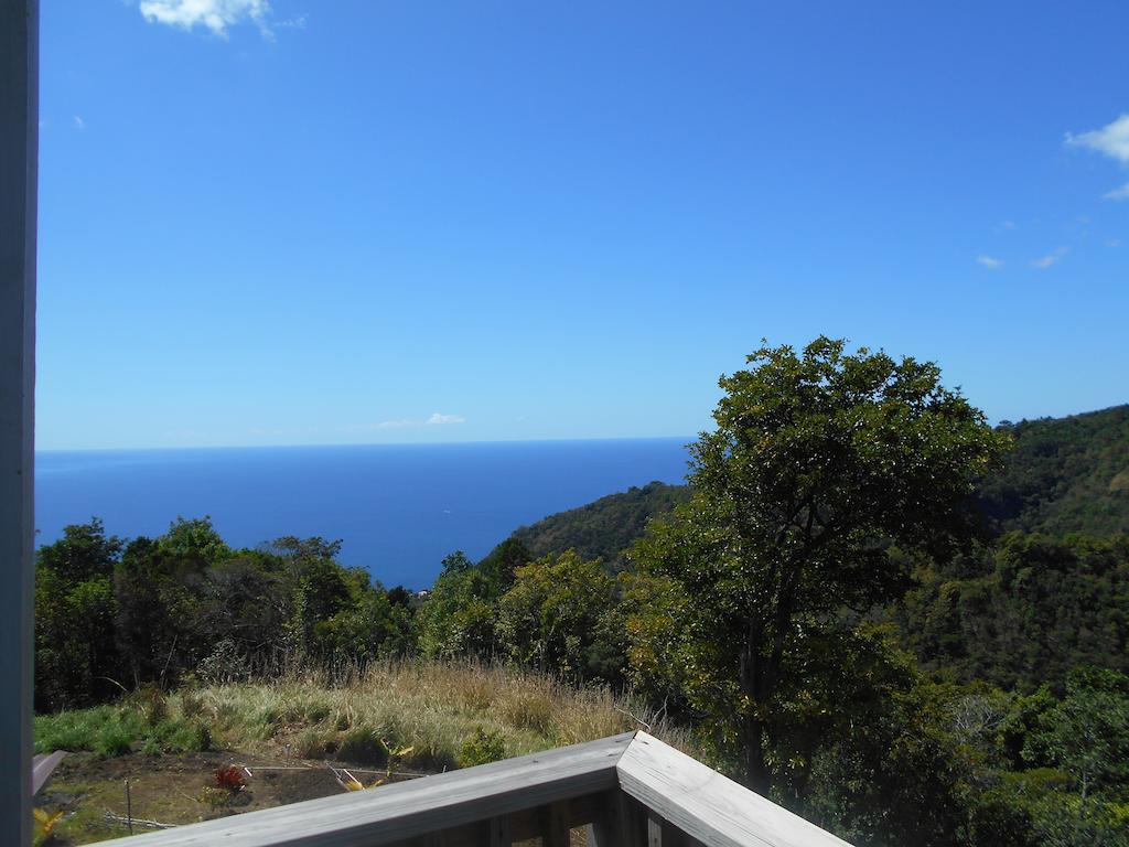Diamond View Cottages Roseau Cameră foto